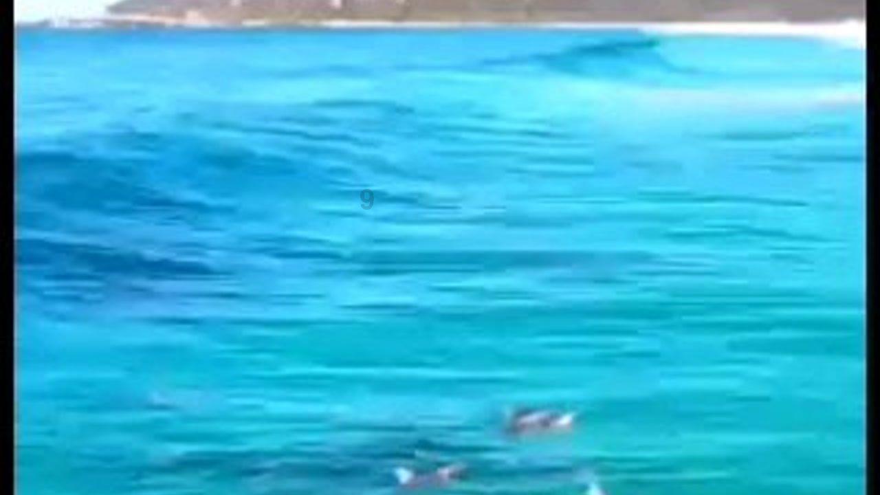 弹球突破
