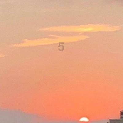 寻找火鸡