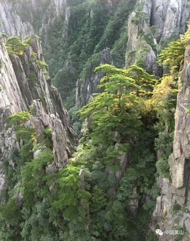 我就是妖女