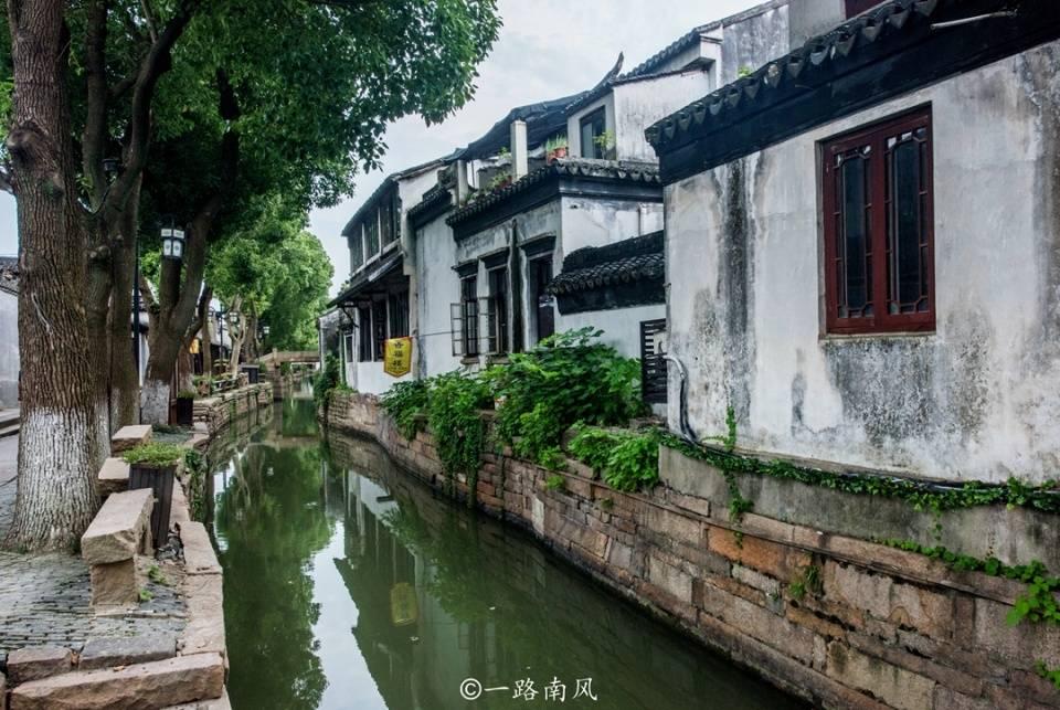为什么明星更容易患抑郁症